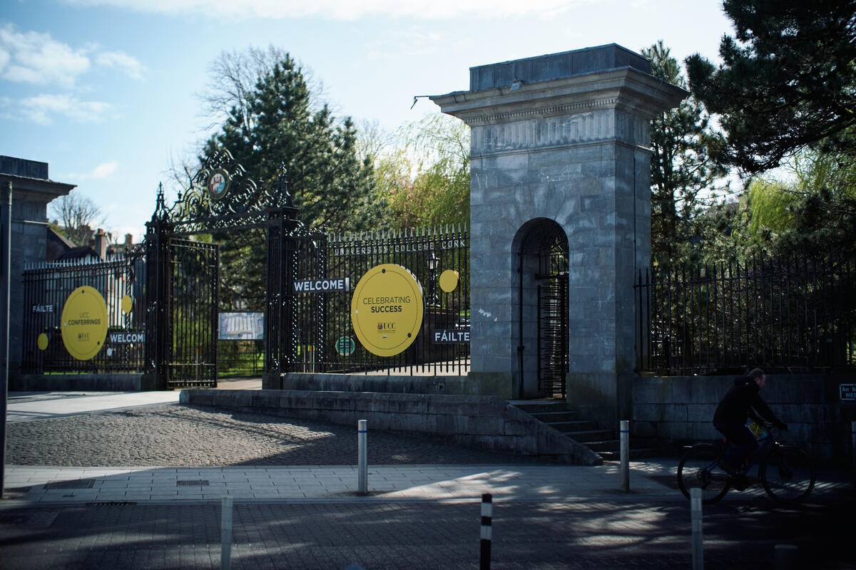Bishop Lucey Park in Cork city near Grand Parade